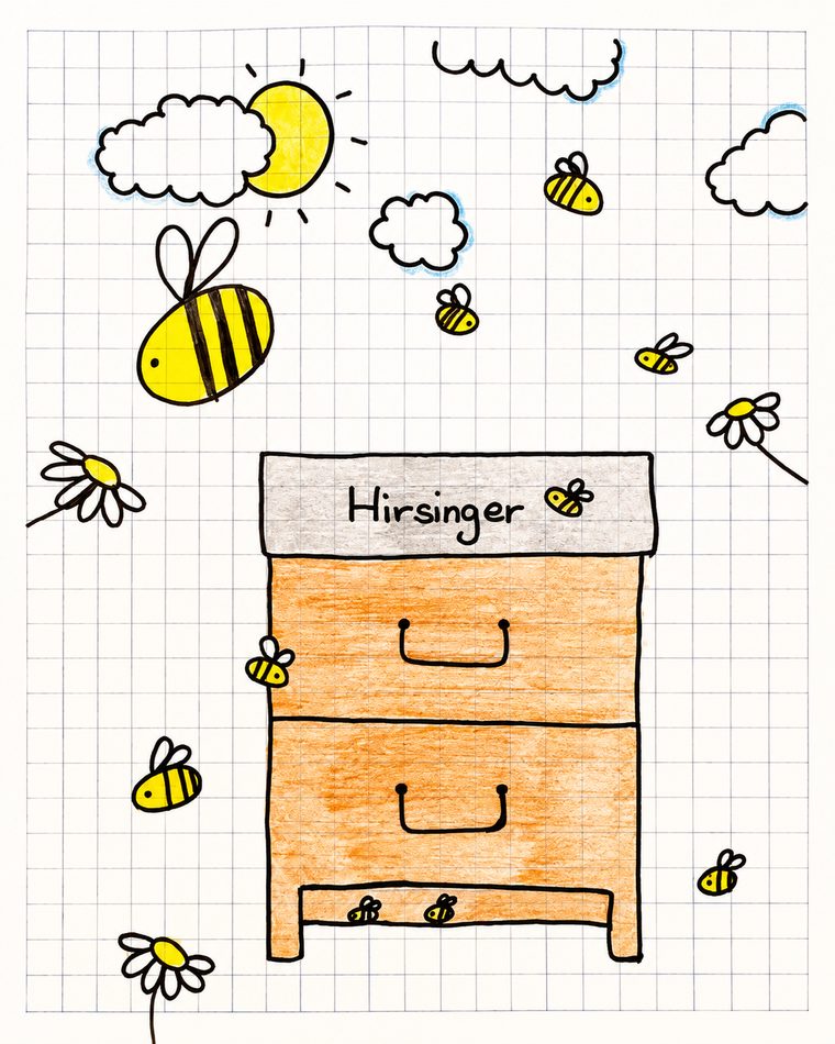 La ruche Hirsinger dessinée par Elyna
