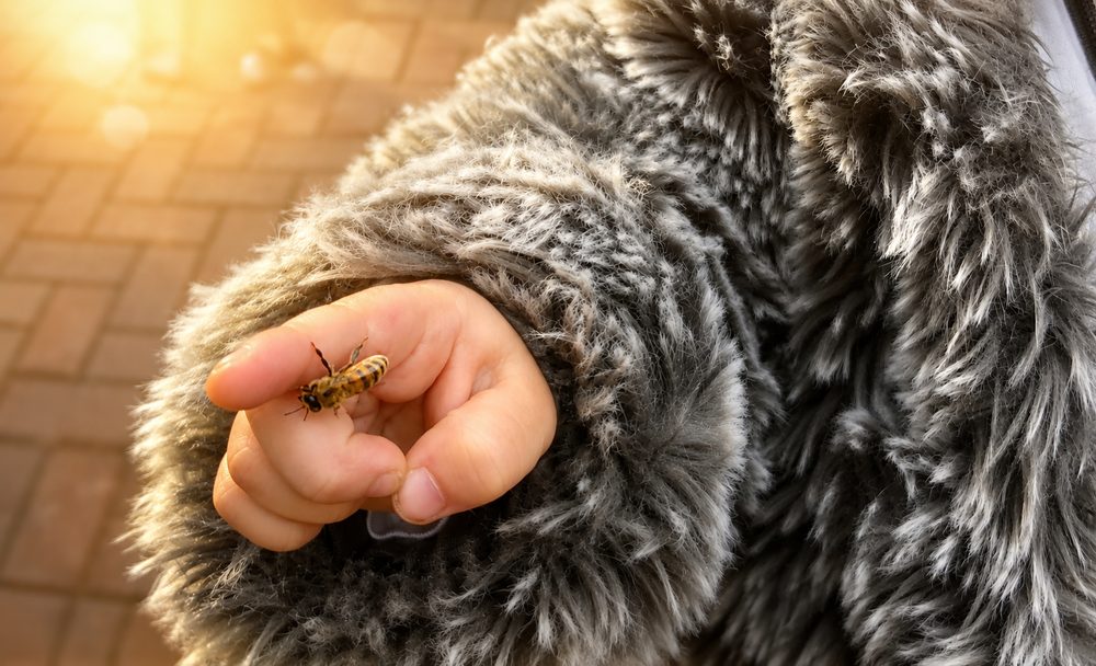 Une abeille posée sur le petit doigt d'un enfant de la famille